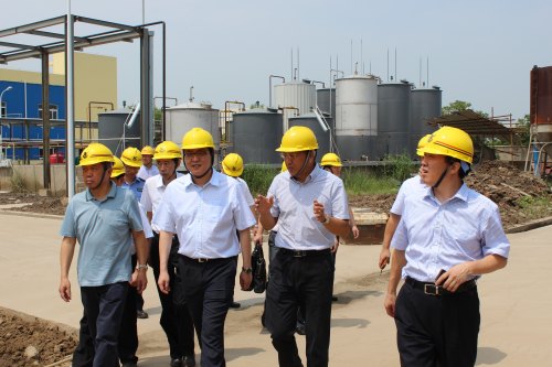 2014年8月26日，張家港市市長朱立凡、副市長黃亞平一行來華瑞視察